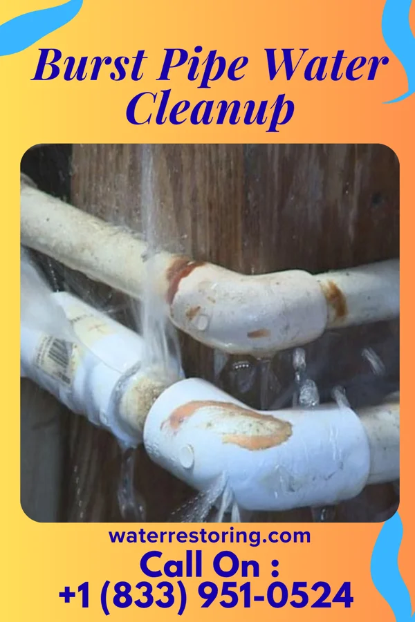 Burst Pipe Water Cleanup in Vanlue, OH