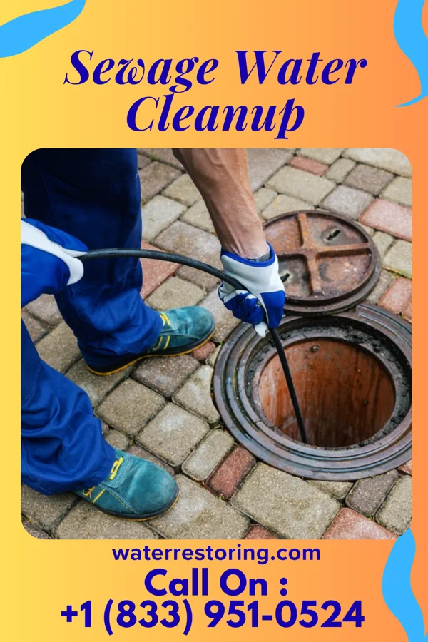 Sewage Water Cleanup in Vanlue, OH
